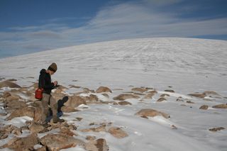 Gifford Miller (pictured) and his doctoral student Simon Pendleton published their findings about the vegetation exposed by the melting ice on Jan. 25, 2019, in the journal Nature.