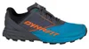 Dynafit Alpine men's running shoe