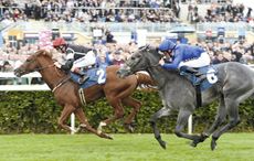 Overreach-racing-2.jpg