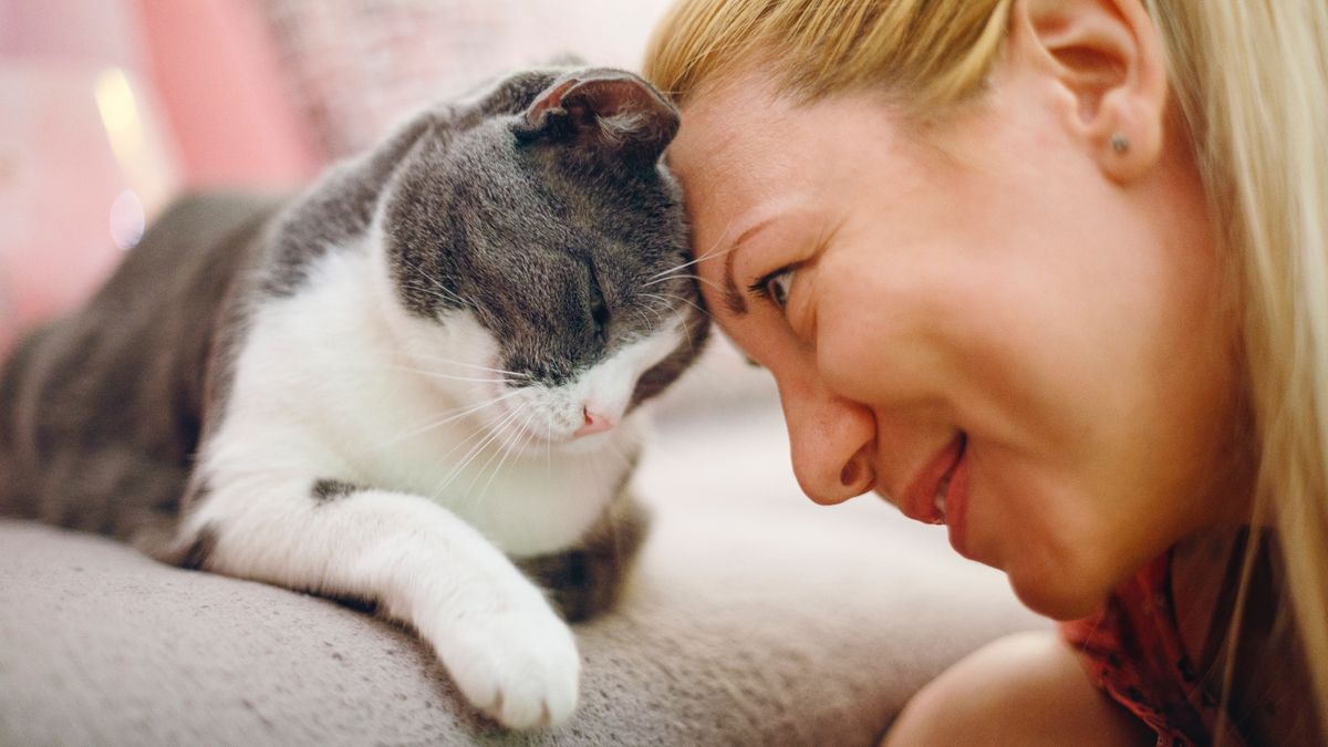 Woman and cat with their heads pressed together sharing a sweet moment at home