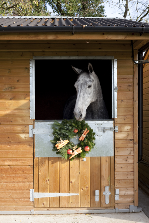 xmas-image.jpg