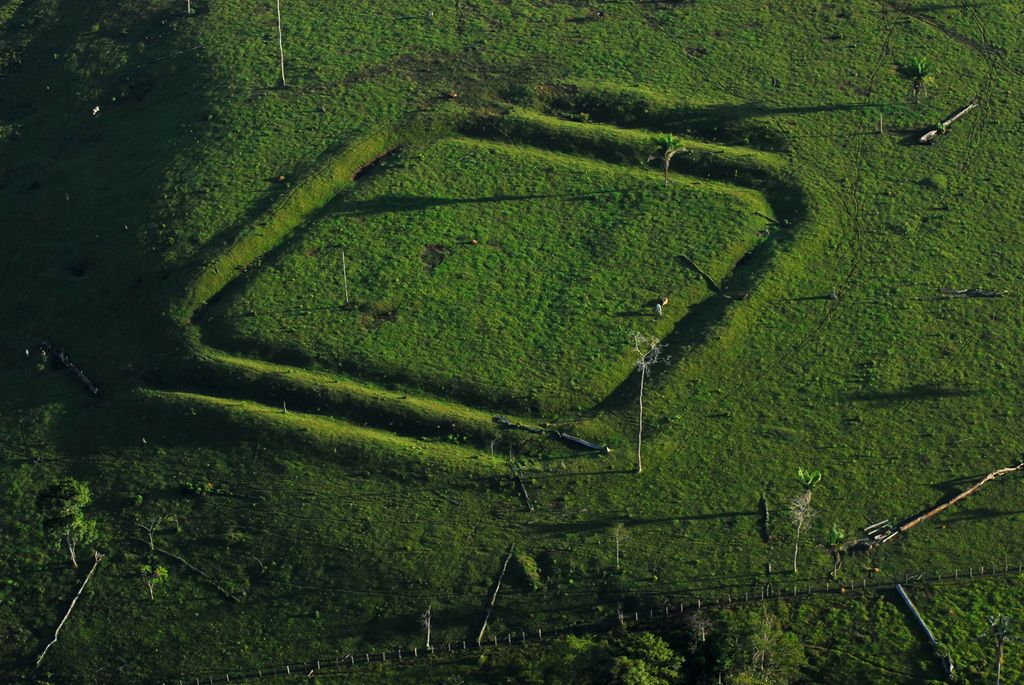 Mysterious Amazonian Geoglyphs Were Built in AlreadyAltered Forests