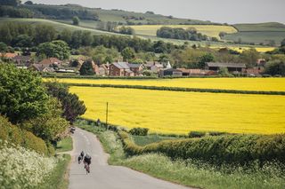 the arrow sportive 2016 by chris catchpole (245)