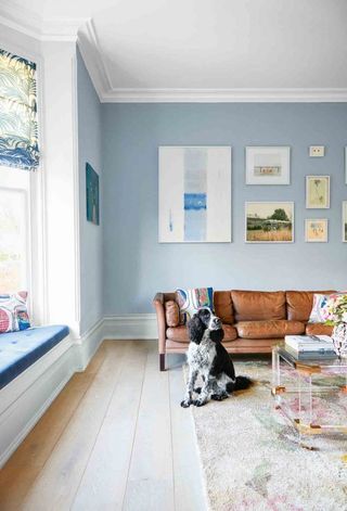 gallery wall ideas against pale blue backdrop