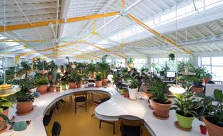 The co-working space with plants