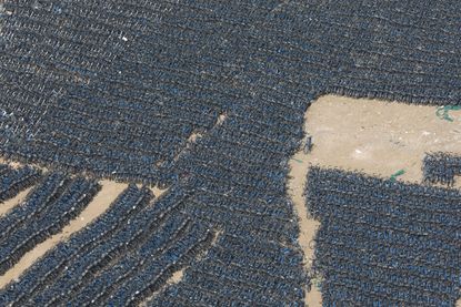 Aerial shot of bicycles. 