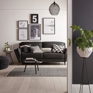 Living room with light walls and grey sofa