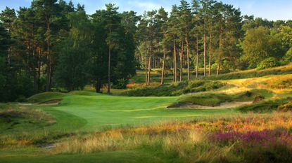 The 7th hole at Sunningdale pictured