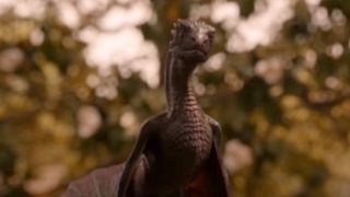 Baby Drogon in Game of Thrones.
