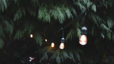 Best solar lights