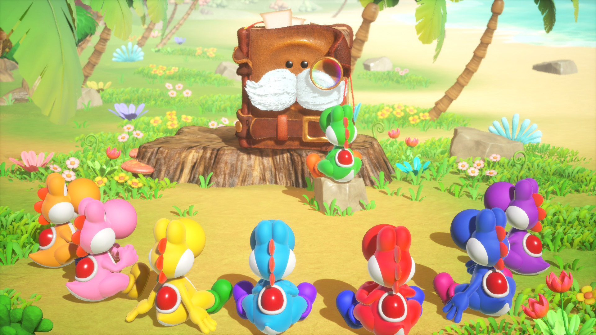 Multiple Yoshi sit in a circle in Yoshi and the Mysterious Book