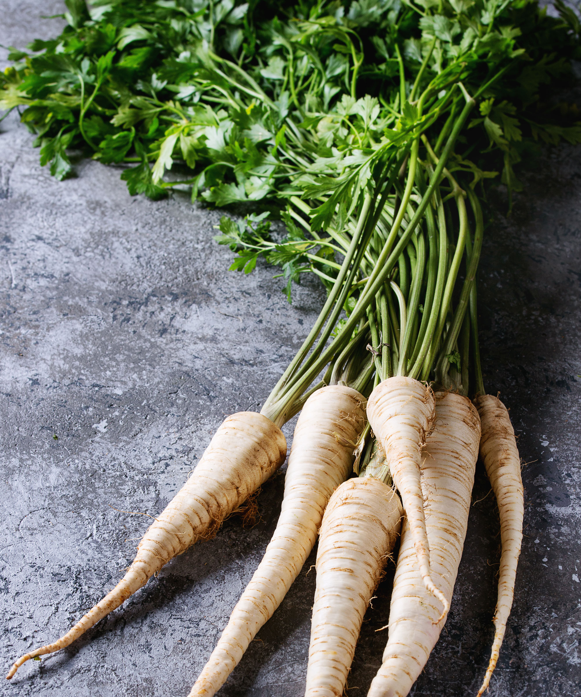 freshly harvested parsnips on grey stone table