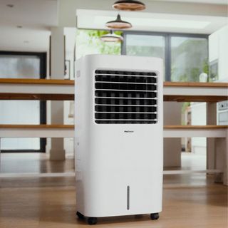 A portable air cooler