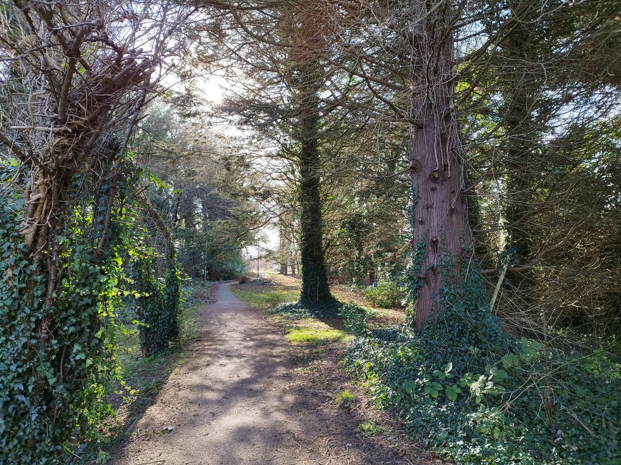 A Xiaomi Redmi Note 11 Pro 5G camera sample