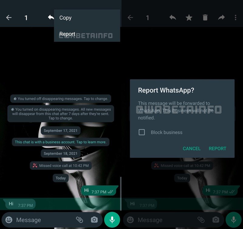 Whatsapp Report Specific Messages Wabetainfo