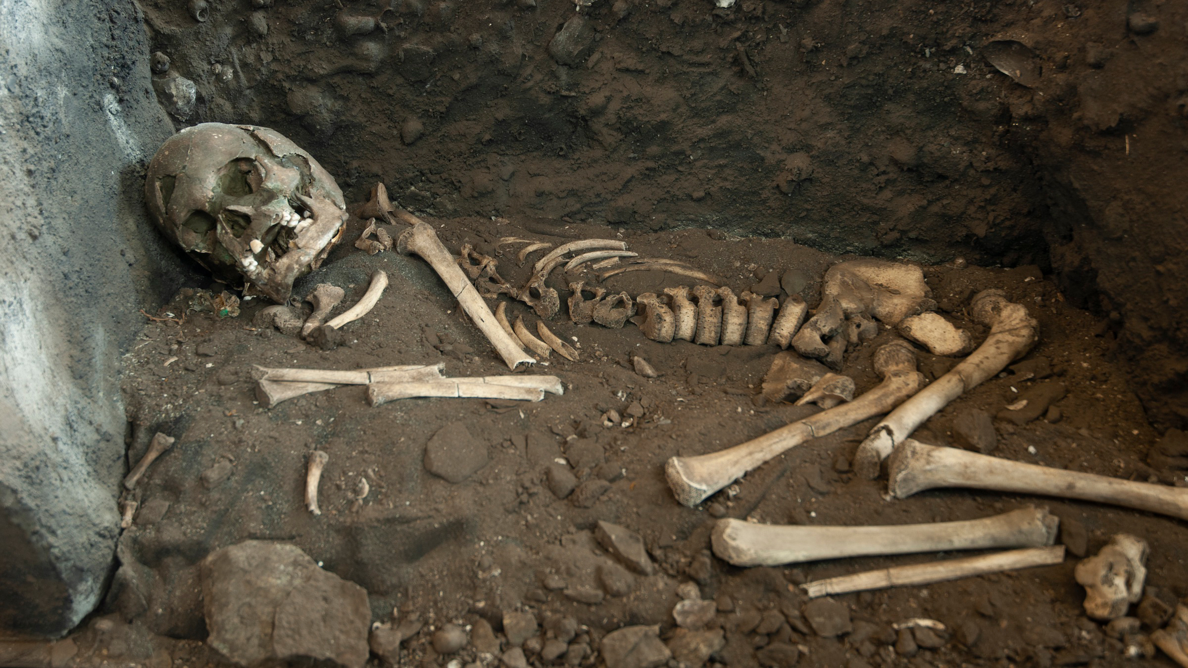 We see a skeleton on its side, in a somewhat crouching position on the dirt floor next to a cave wall.