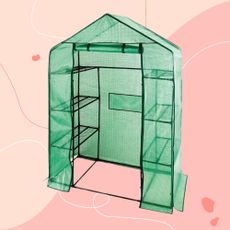 Aldi walk in greenhouse on pink background