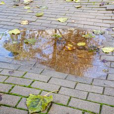 Puddle and autumn leaves on a block paved drive