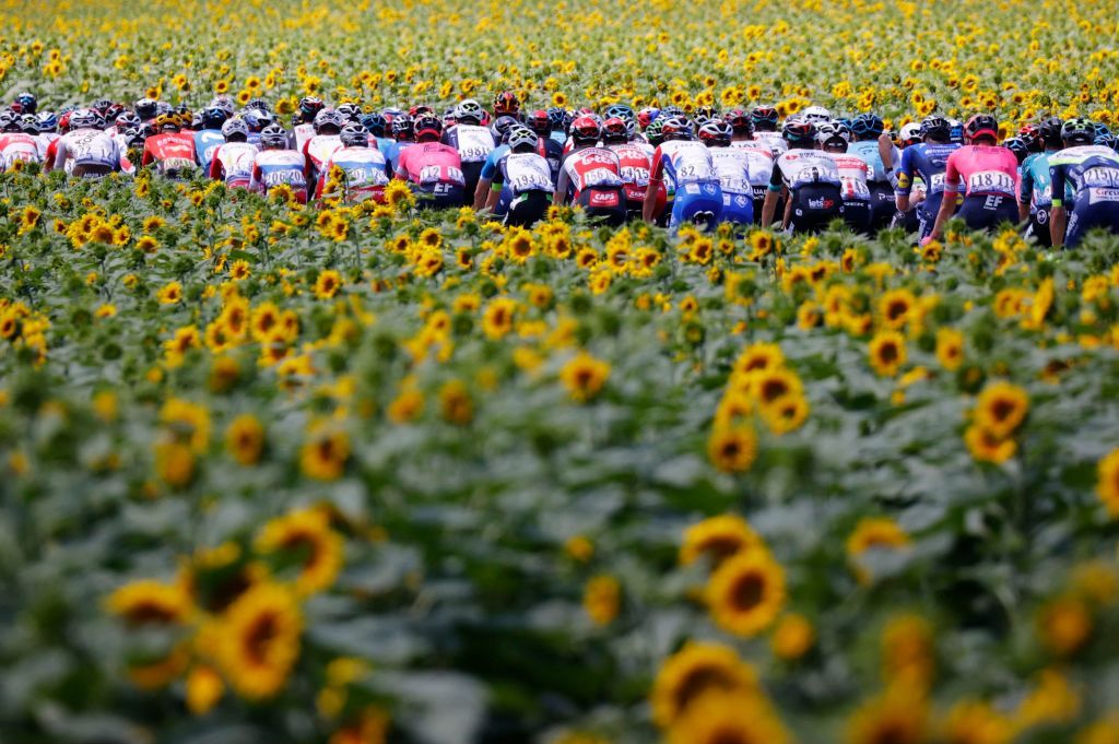 The pack rides during the 14th stage of the 108th edition of the Tour de France cycling race 183 km between Carcassonne and Quillan on July 10 2021 Photo by Thomas SAMSON AFP Photo by THOMAS SAMSONAFP via Getty Images