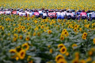 The pack rides during the 14th stage of the 108th edition of the Tour de France cycling race 183 km between Carcassonne and Quillan on July 10 2021 Photo by Thomas SAMSON AFP Photo by THOMAS SAMSONAFP via Getty Images
