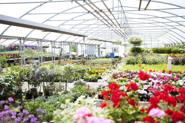garden centre