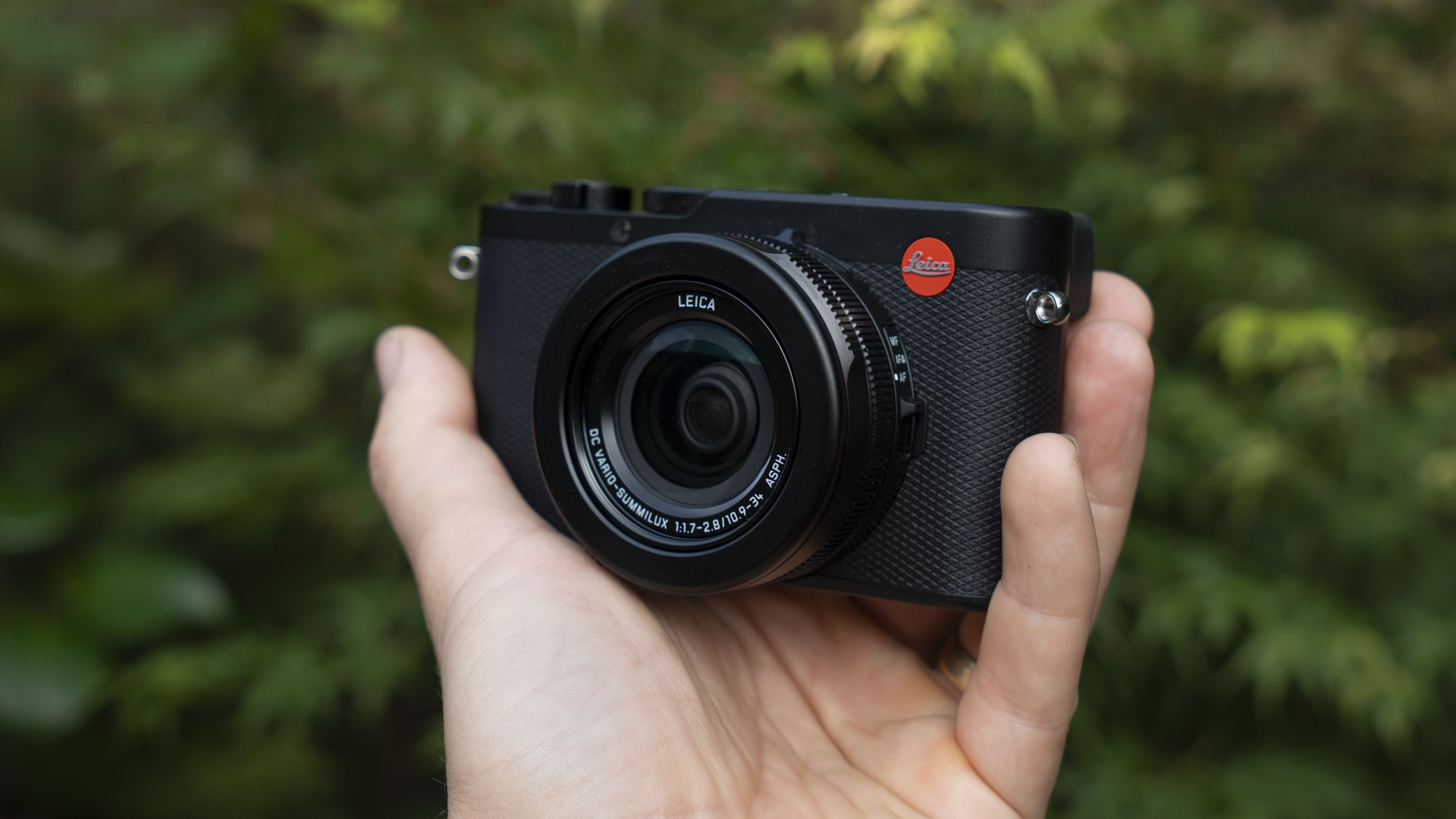 Leica D-Lux 8 in-hand