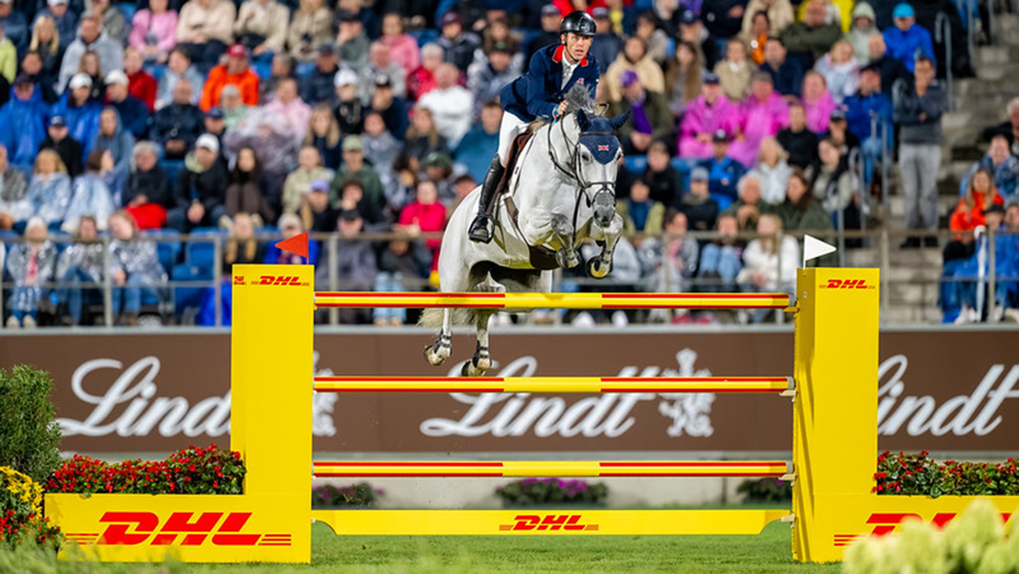 Scott Brash and Hello Mango, a grey horse, jump an upright yellow and red fence, helping Britain to bronze during the showjumping World Championships in Aachen