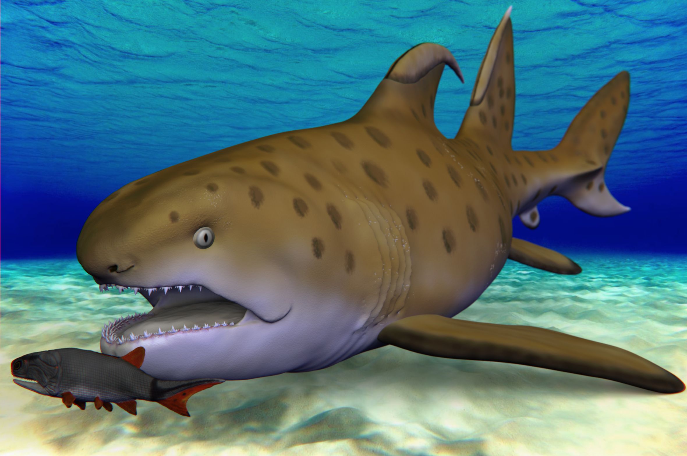 300 million-year-old 'Godzilla shark' identified as new species