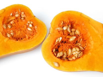 Inside Of Cut Open Squash With A Lot Of Seeds