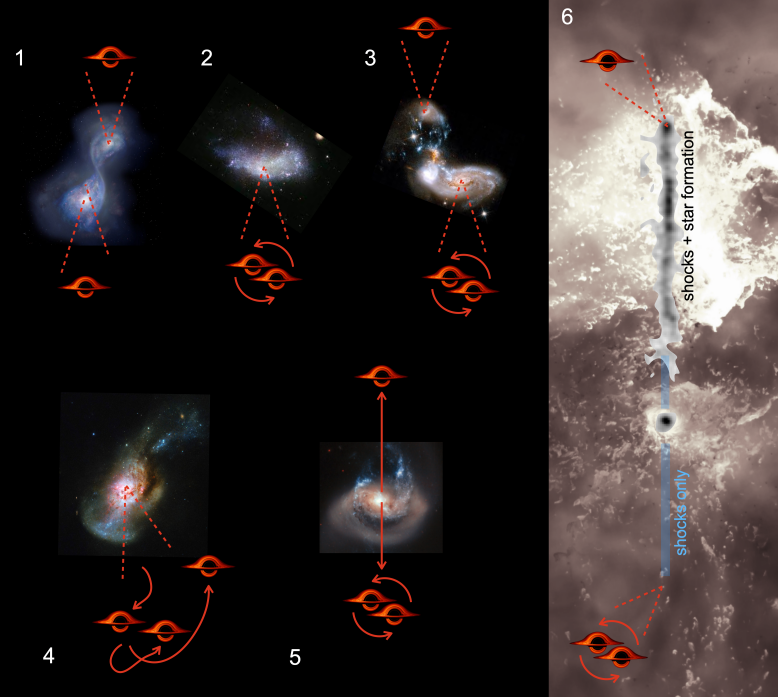 An illustration showing, in 5 steps, two black holes becoming a binary pair before a third black hole enters the galaxy, disrupting the balance and sending one black hole flying into intergalactic space