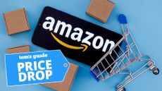 Amazon gift card in shopping cart