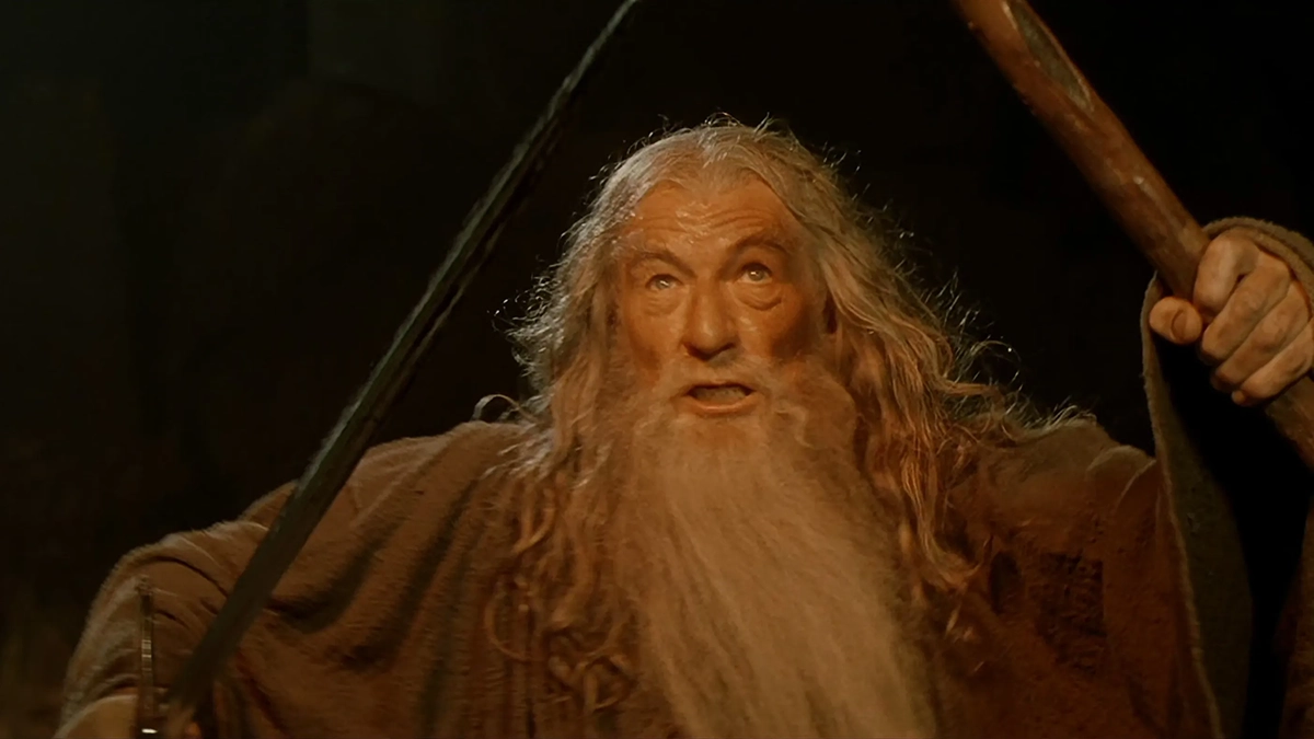 &quot;You shall not pass!&quot; from The Lord of the Rings: the Fellowship of the Ring
