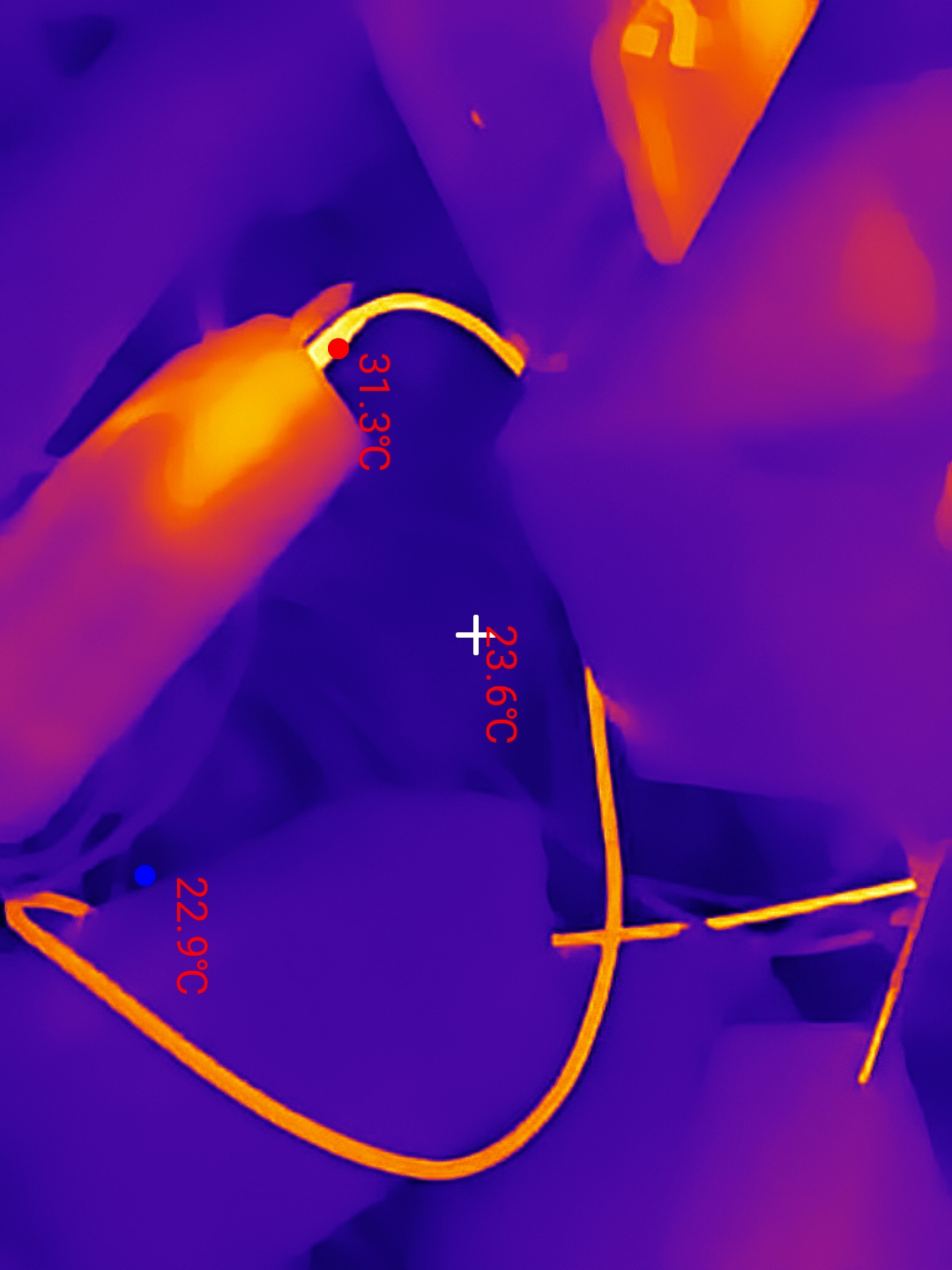 Thermal Master P3 Example images