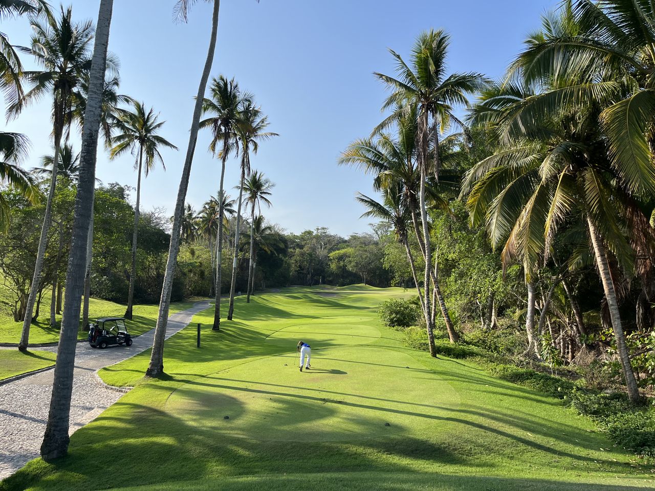 The First par 3 tee shot, hole 4