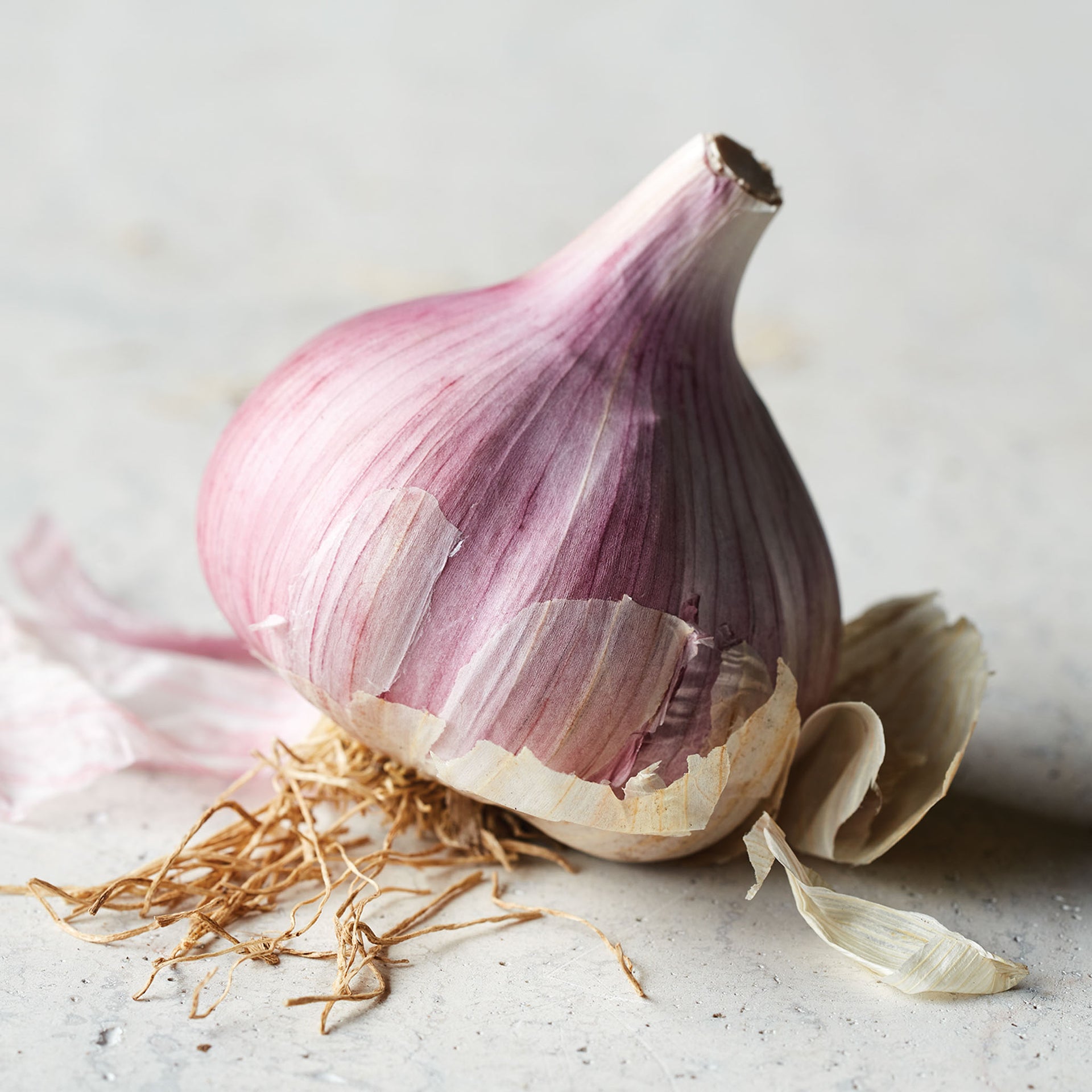 Chesnok Red Garlic Bulbs - 1/2 Lb Bulbs