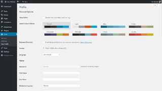 WordPress interface