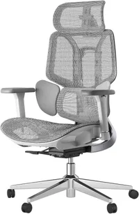 Hbada E3 Air Ergonomic Office Chair