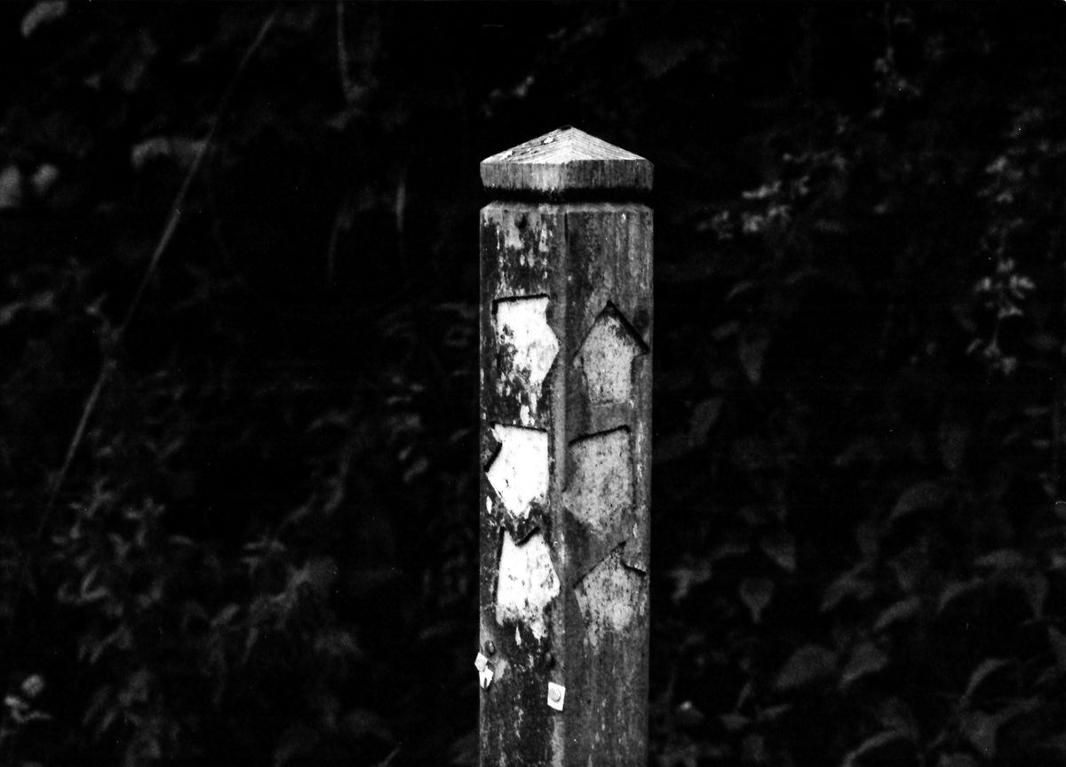 Samples of Fomapan 400