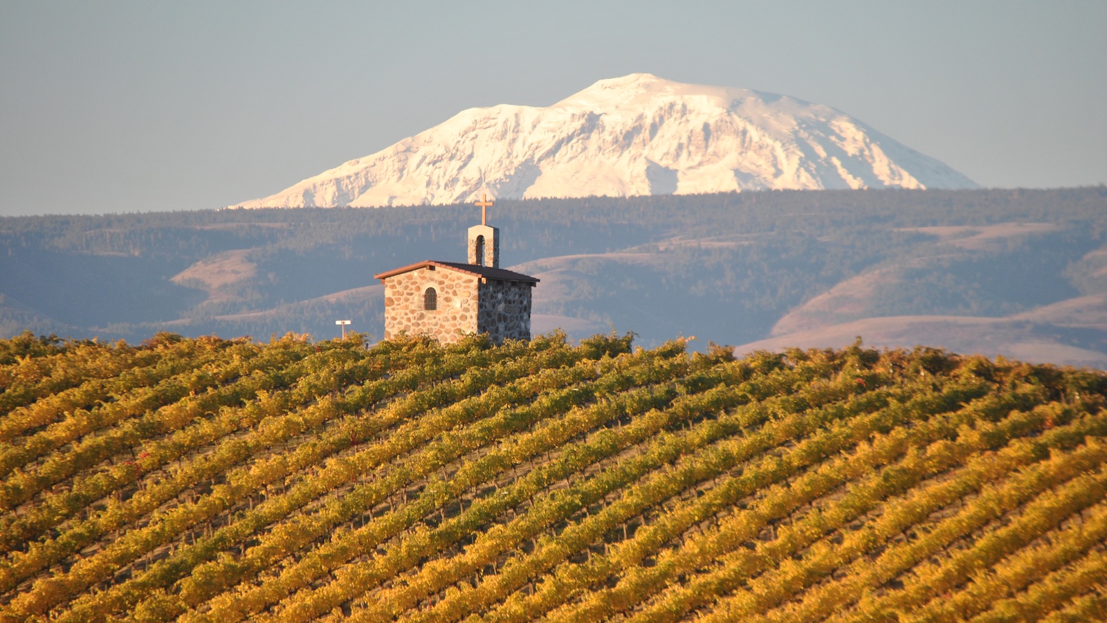 Rows of vines and a stone chapel in the Chapel Block of Washington's Red Willow Vineyard, with rolling hills and a snow-covered mountain in the background.