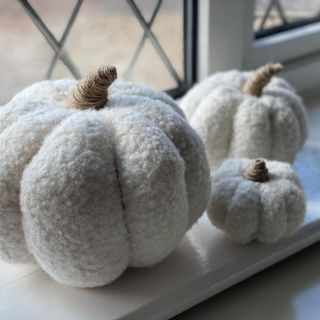 Boucle Pumpkins