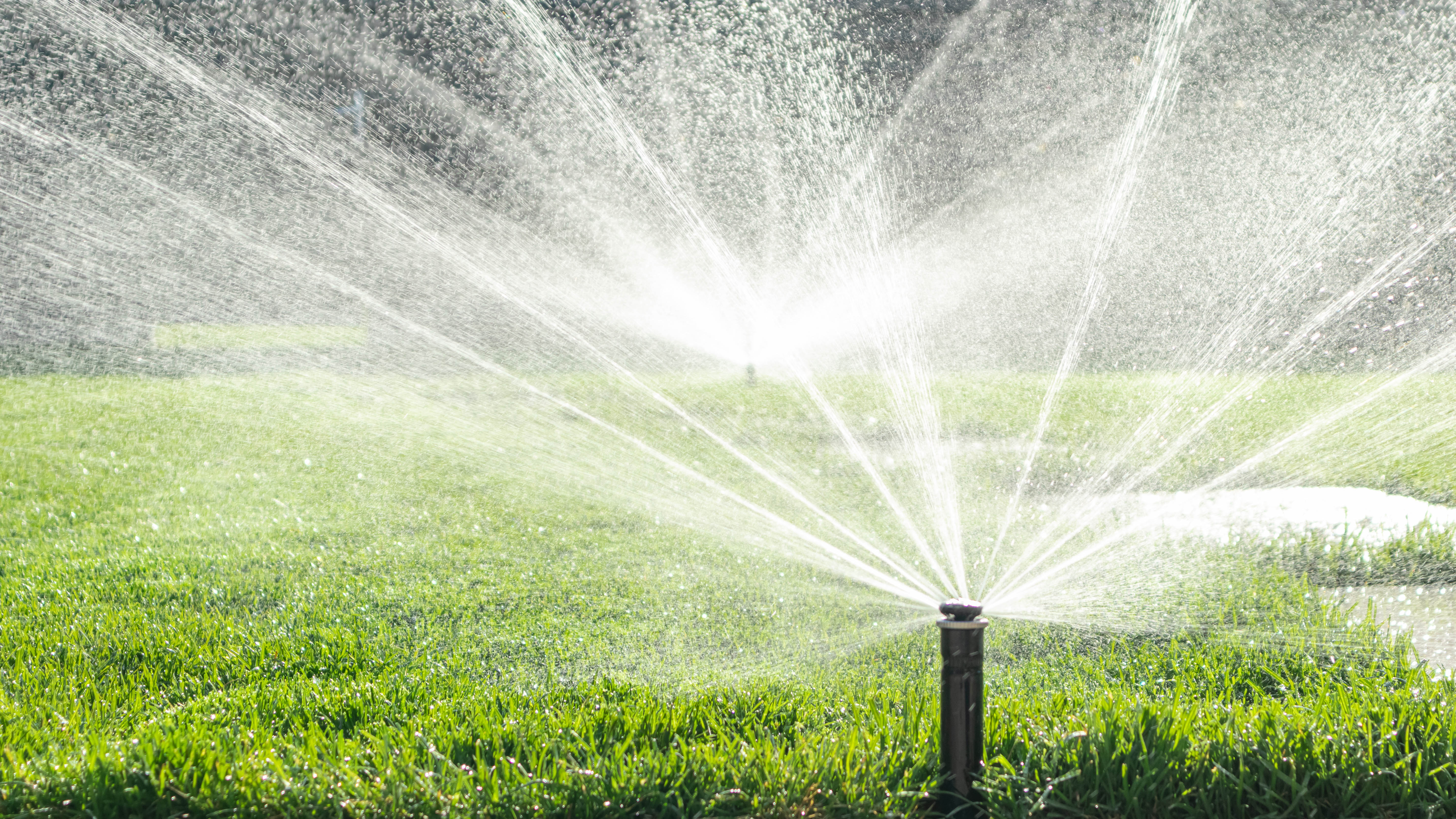 Watering lawn with sprinklers