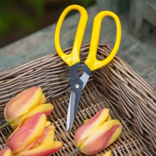 yellow handled garden scissors 