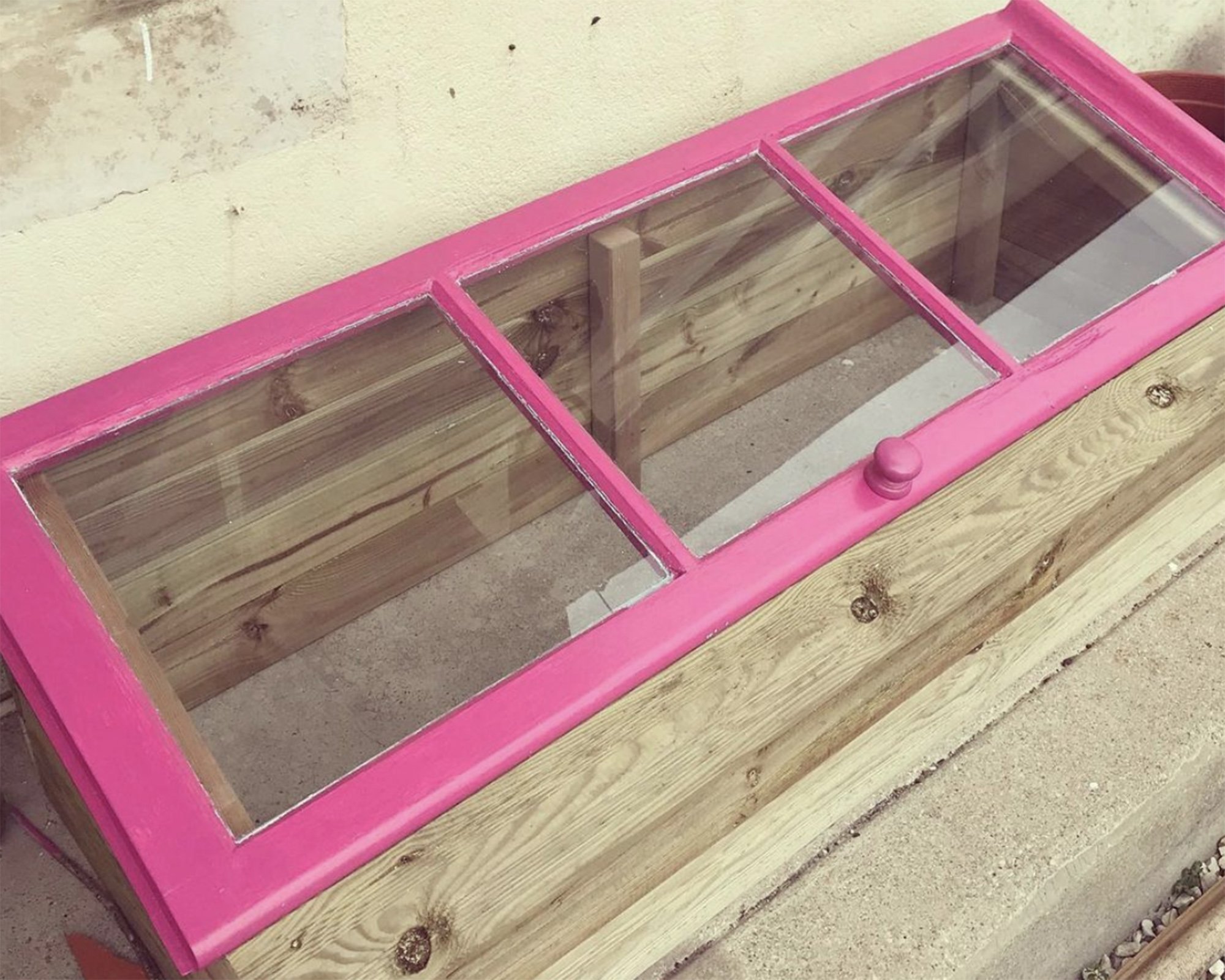Cold frame made from a reclaimed door painted pink