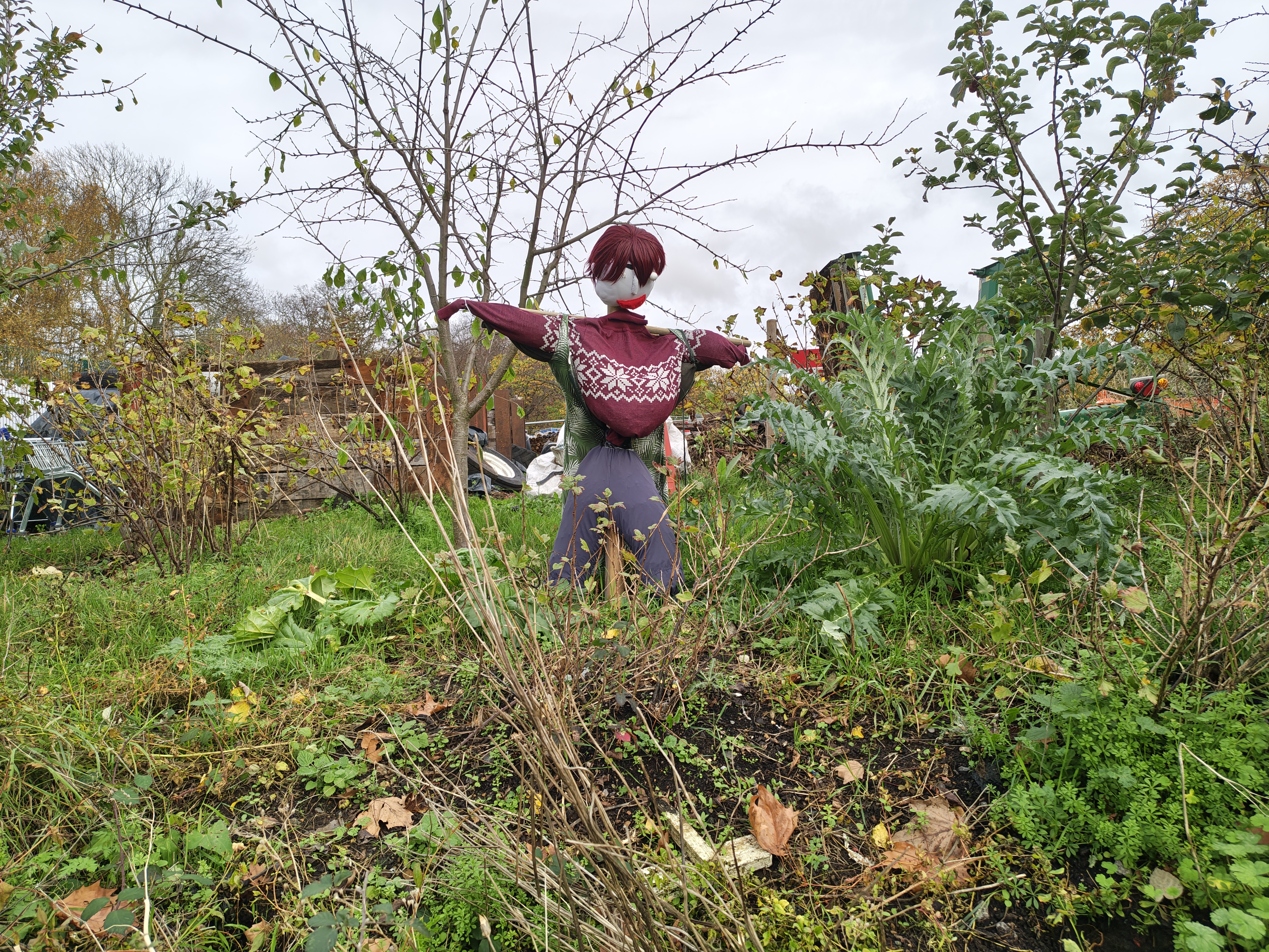 A photo of a scarecrow taken on the Moto Edge 70.