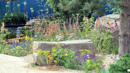 gravel garden with large rocks as landscaping features and drought tolerant plants