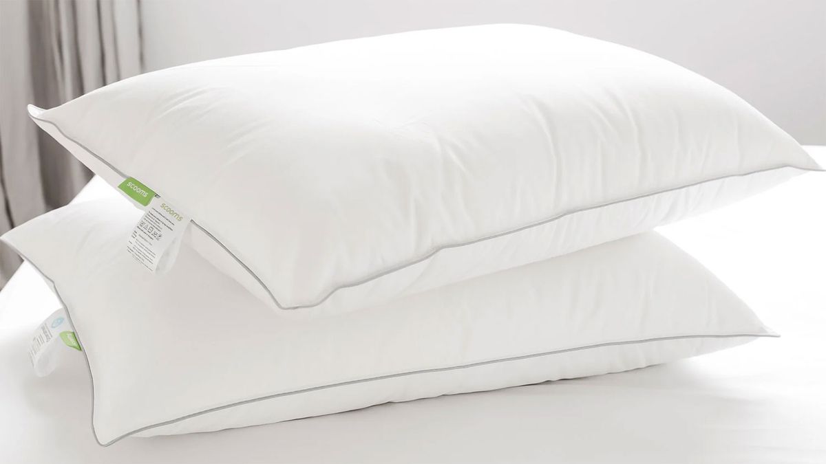 Best pillow in 2025 the leading feather, fibre and foam options