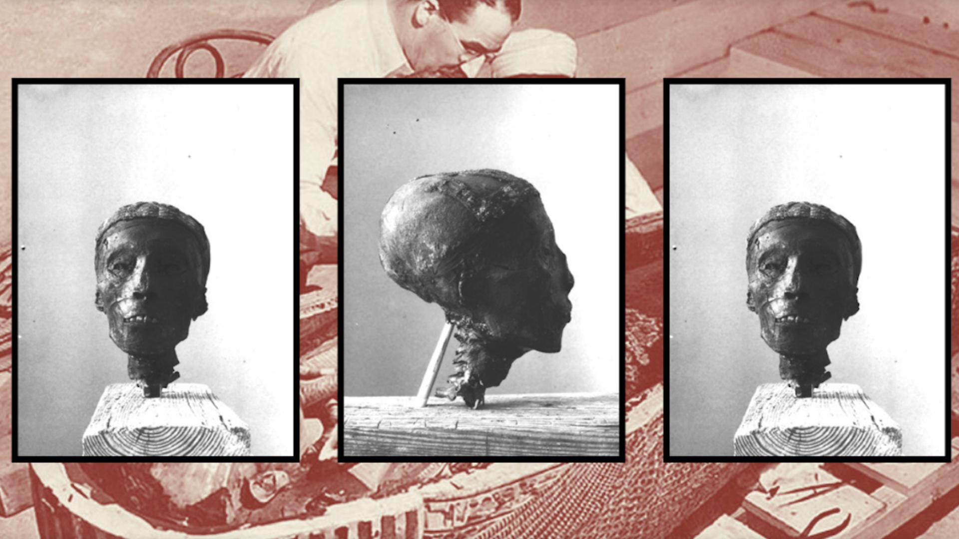 Three black and white photos of King Tut's mummified, severed head