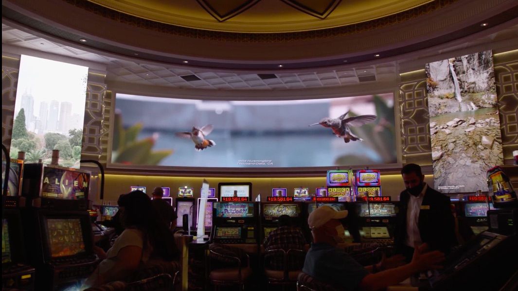 Absen LED walls including the Acclaim Plus series are featured throughout Peppermill Resorts and Casino in Reno, NV