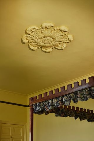 new house of hackney paint range featured on a yellow ceiling