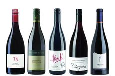 NZ-Pinot-Noir-2013.jpg
